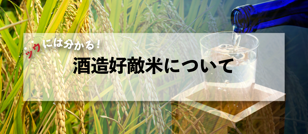 酒米